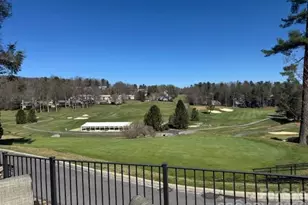 121 Burning Tree Ln, Flat Rock, NC 28731 - Photo 42