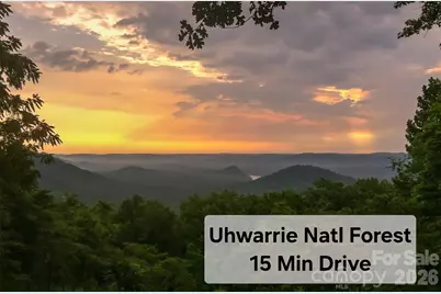 911 Hill Street, Albemarle, NC 28001 - Photo 14