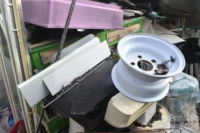 47 Eastover Drive, Asheville, NC 28806 - Photo 20