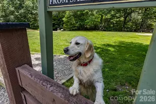 940 Winding Creek Rd, Sapphire, NC 28774 - Photo 48