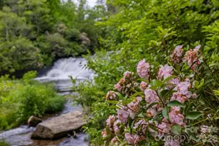940 Winding Creek Rd, Sapphire, NC 28774 - Photo 44