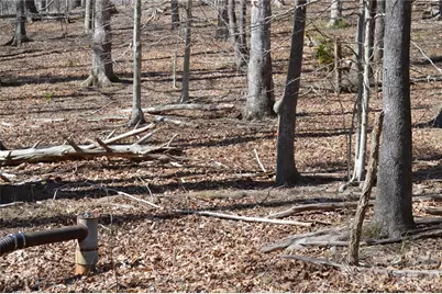 00 Shadow Creek Lane, Columbus, NC 28722 - Photo 10