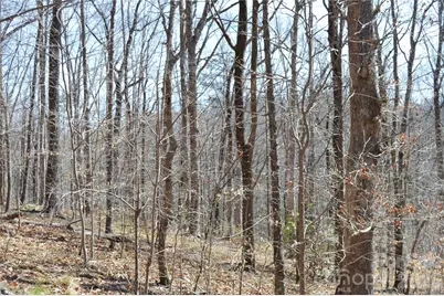 00 Shadow Creek Lane, Columbus, NC 28722 - Photo 18