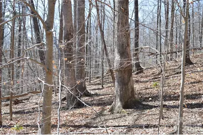 00 Shadow Creek Lane, Columbus, NC 28722 - Photo 2
