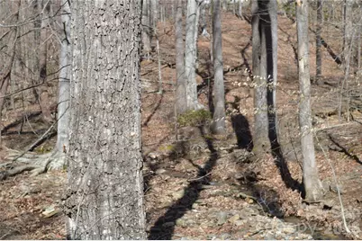 00 Shadow Creek Lane, Columbus, NC 28722 - Photo 4