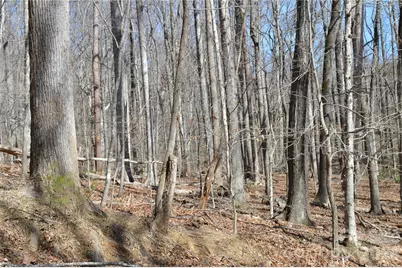 00 Shadow Creek Lane, Columbus, NC 28722 - Photo 14