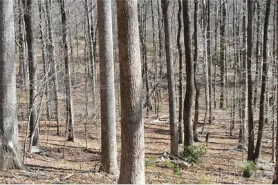 00 Shadow Creek Lane, Columbus, NC 28722 - Photo 8