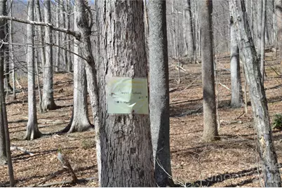 00 Shadow Creek Lane, Columbus, NC 28722 - Photo 12