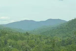 1306 Fork Mountain Rd, Bakersville, NC 28705 - Photo 32