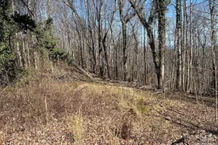 859 Stacy Hill Rd, Nebo, NC 28761 - Photo 22