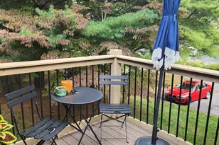 36 Ravencroft Ln, Asheville, NC 28803 - Photo 30