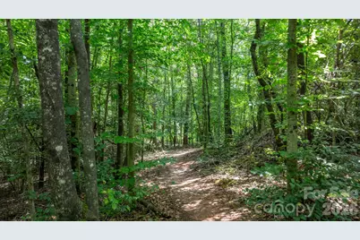 190 Moretz Court, Bethlehem, NC 28601 - Photo 46