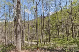 53 Benfield Rd, Weaverville, NC 28787 - Photo 46