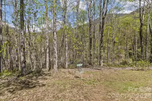 53 Benfield Rd, Weaverville, NC 28787 - Photo 40