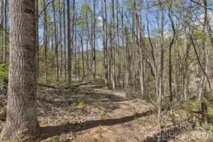53 Benfield Rd, Weaverville, NC 28787 - Photo 44