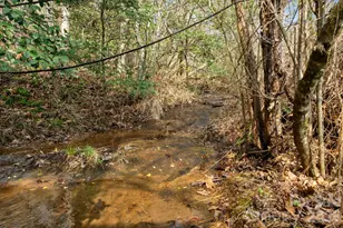 5005 Rocky Ridge Rd, Connelly Springs, NC 28612 - Photo 22