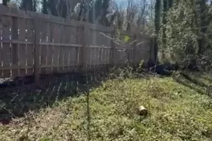 543 Salisbury Hwy St, Wadesboro, NC 28170 - Photo 4