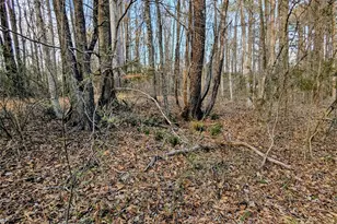 1555 Moss Creek Rd, York, SC 29745 - Photo 10