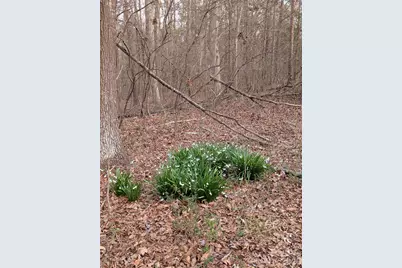 1555 Moss Creek Road, York, SC 29745 - Photo 6