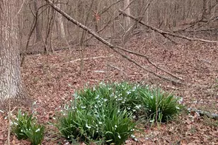 1555 Moss Creek Rd, York, SC 29745 - Photo 6