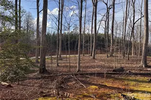 121 Shady Ln, Troutman, NC 28166 - Photo 20