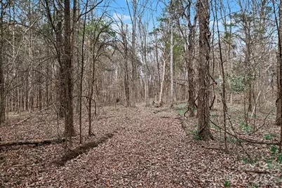 1204 Shalimar Drive, Concord, NC 28025 - Photo 2