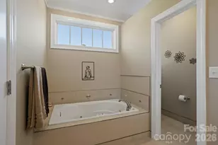 83 King Creek Preserve Ln, Flat Rock, NC 28731 - Photo 32