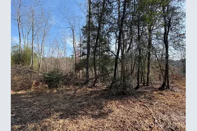 120 Shamrock Circle, Hudson, NC 28638 - Photo 4