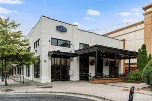 101 Deerlake Dr, Asheville, NC 28803 - Photo 42