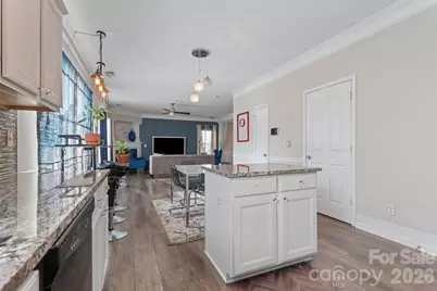 11538 Hattie Little Street, Charlotte, NC 28269 - Photo 18