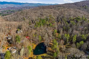 55 Valley Ln, Pisgah Forest, NC 28768 - Photo 44