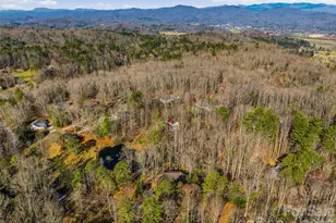 55 Valley Ln, Pisgah Forest, NC 28768 - Photo 42