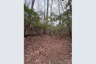 Tbd Tsisqua Circle #66/05, Brevard, NC 28712 - Photo 4