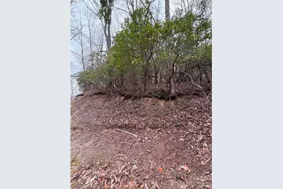 Tbd Tsisqua Circle #66/05, Brevard, NC 28712 - Photo 2