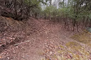 Tbd Tsisqua Circle, Brevard, NC 28712 - Photo 1