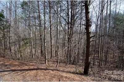 00 Sundance Drive #3-IV, Nebo, NC 28761 - Photo 4