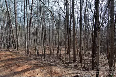 00 Sundance Drive #3-IV, Nebo, NC 28761 - Photo 2