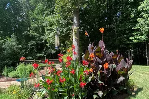 9822 Zackery Ave, Charlotte, NC 28277 - Photo 48