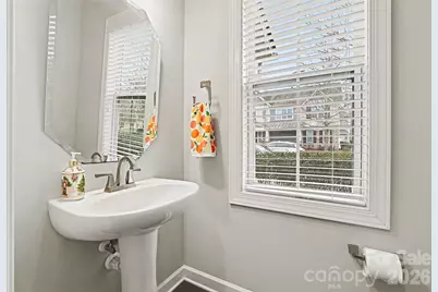 16125 Lost Canyon Way, Charlotte, NC 28277 - Photo 10