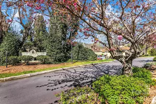 110 Heywood Rd, Arden, NC 28704 - Photo 42