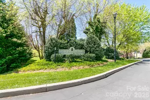 110 Heywood Rd, Arden, NC 28704 - Photo 38