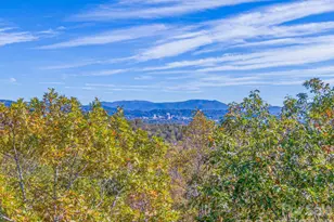 17 Denali Dr, Asheville, NC 28806 - Photo 1