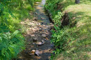43 Upper Herron Cove Rd, Weaverville, NC 28787 - Photo 44