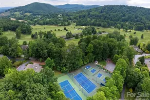 116 Ivy Rd, Mills River, NC 28759 - Photo 44