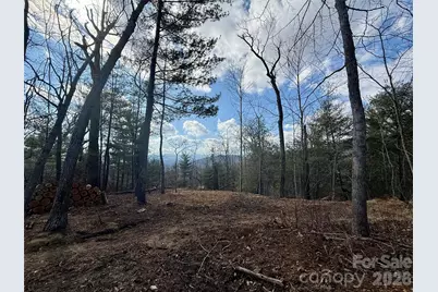 000 Rambling Ridge Road #16, Asheville, NC 28804 - Photo 8