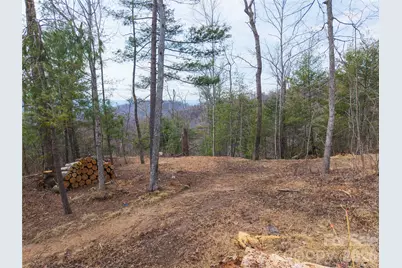 000 Rambling Ridge Road #16, Asheville, NC 28804 - Photo 4