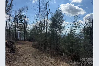 000 Rambling Ridge Road #16, Asheville, NC 28804 - Photo 6