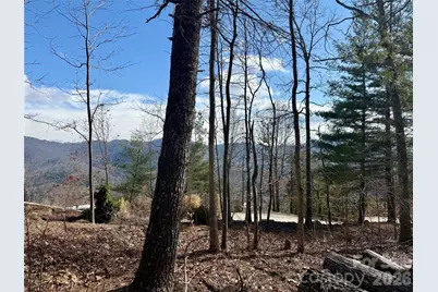 000 Rambling Ridge Road #16, Asheville, NC 28804 - Photo 10