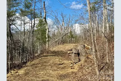 000 Rambling Ridge Road #16, Asheville, NC 28804 - Photo 12