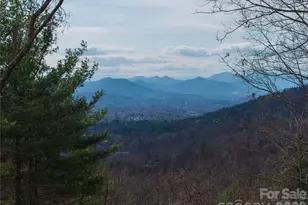 000 Rambling Ridge Rd, Asheville, NC 28804 - Photo 1